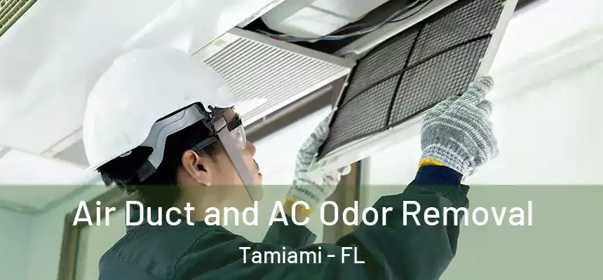 Air Duct and AC Odor Removal Tamiami - FL