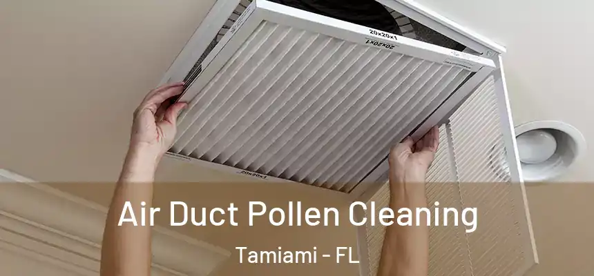 Air Duct Pollen Cleaning Tamiami - FL