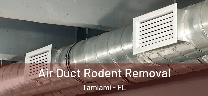 Air Duct Rodent Removal Tamiami - FL