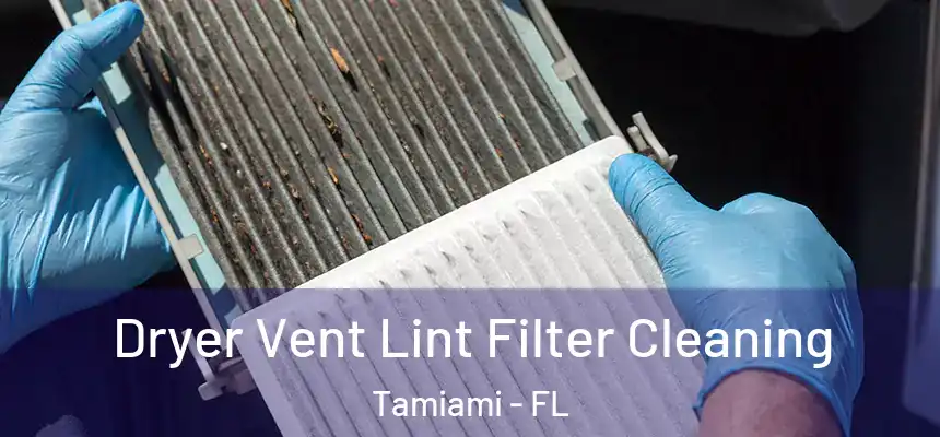  Dryer Vent Lint Filter Cleaning Tamiami - FL