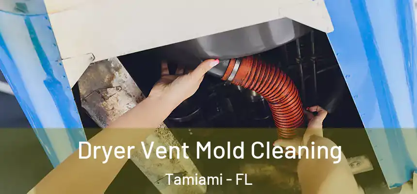 Dryer Vent Mold Cleaning Tamiami - FL