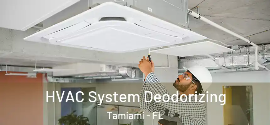 HVAC System Deodorizing Tamiami - FL