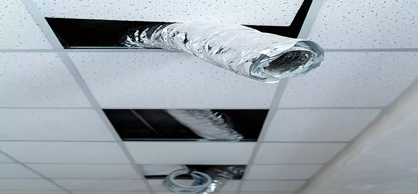 Affordable HVAC Sanitizing After Pest Removal in Tamiami