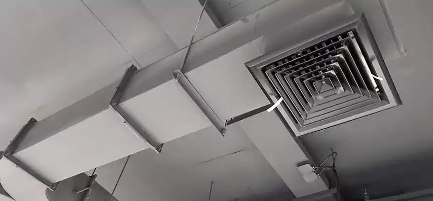 Restorative Allergy Relief Vent Cleaning – Coil, Blower & Housing Detail in Tamiami