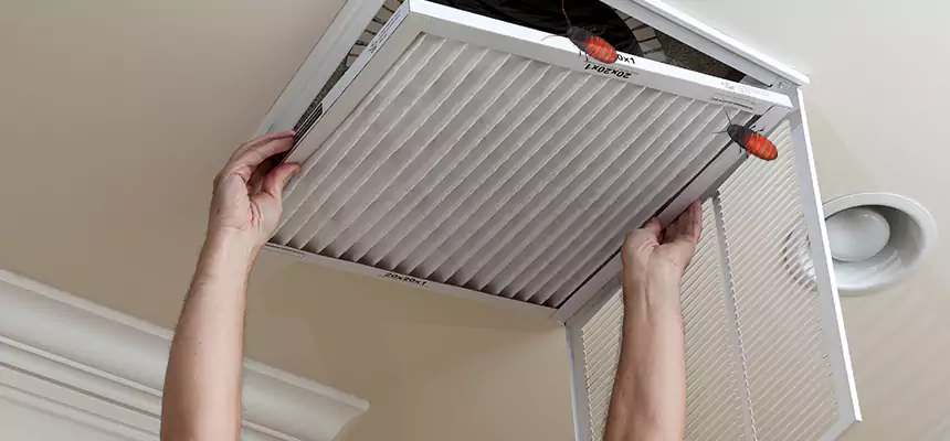 Our Insect Removal from Air Ducts Services in Tamiami, FL