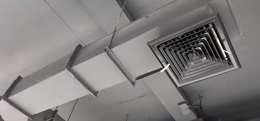 Our Pest Removal From Ducts Services in Tamiami, FL