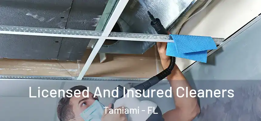 Licensed And Insured Cleaners Tamiami - FL
