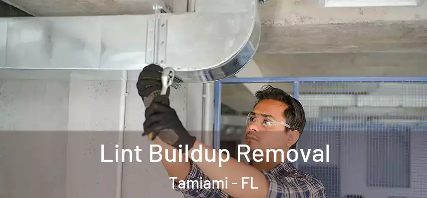  Lint Buildup Removal Tamiami - FL