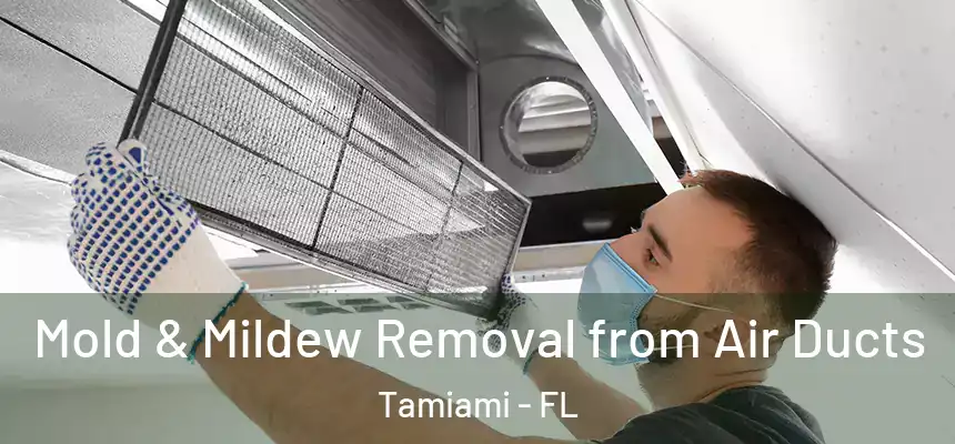Mold & Mildew Removal from Air Ducts Tamiami - FL