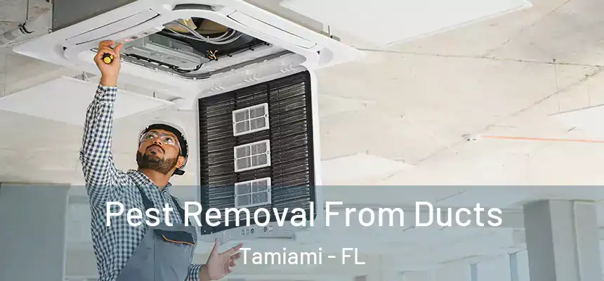 Pest Removal From Ducts Tamiami - FL
