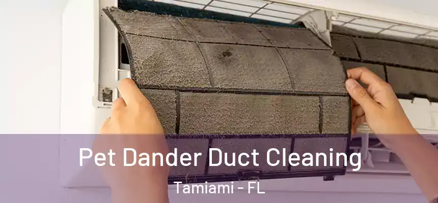 Pet Dander Duct Cleaning Tamiami - FL
