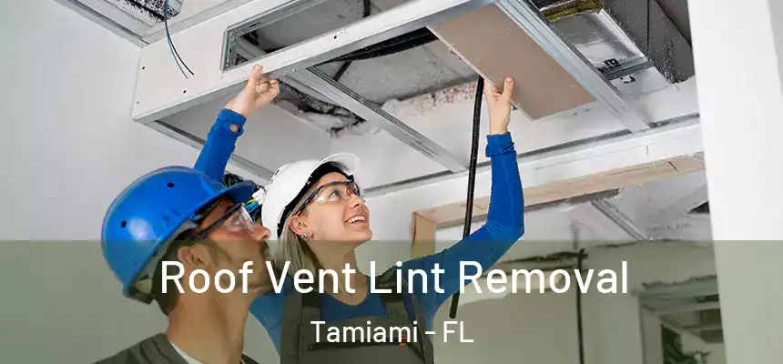 Roof Vent Lint Removal Tamiami - FL