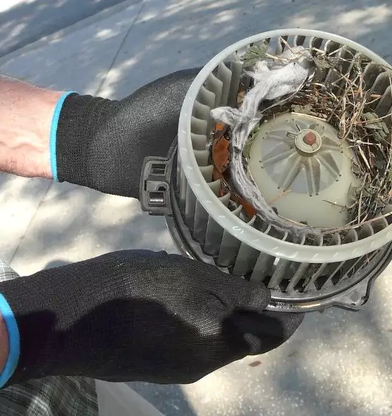 About Air Duct Mice Removal in Tamiami, FL