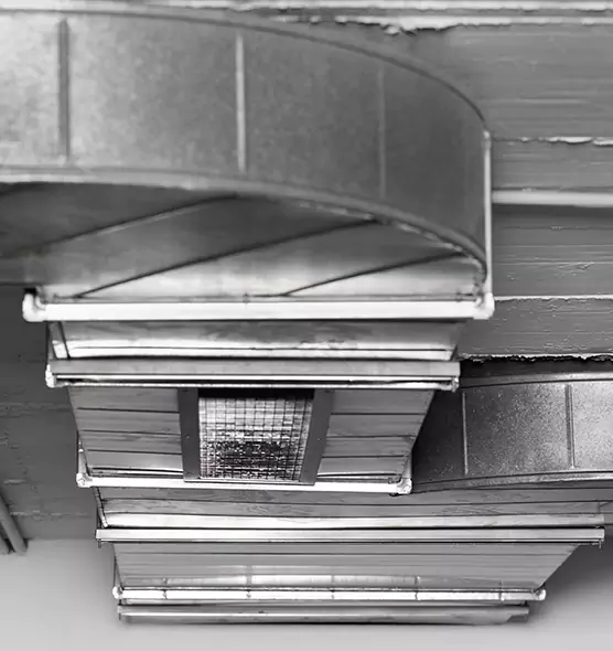 Professional Air Duct Pet Hair Removal in Tamiami, FL