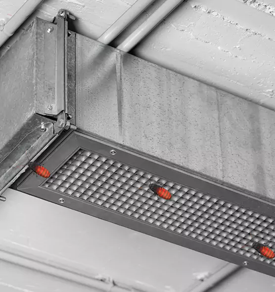 Affordable Insect Removal from Air Ducts in Tamiami, FL