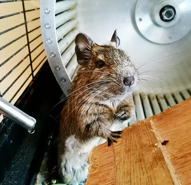 Why Homeowners & Businesses Trust Us Tamiami, FL?