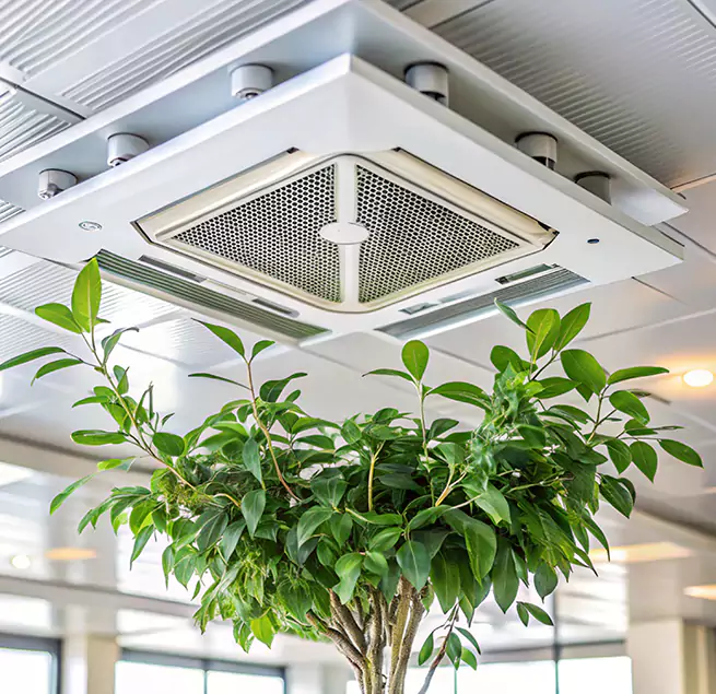 Why Homeowners & Businesses Trust Us in Tamiami, FL?