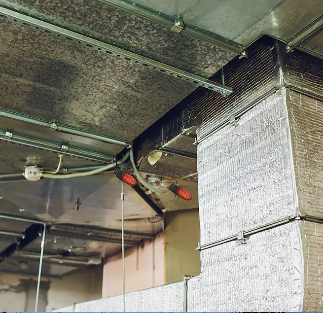 Why Homeowners & Businesses Trust Us Tamiami, FL?