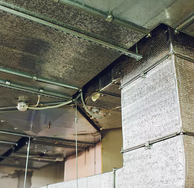 Why Homeowners & Businesses Trust Us in Tamiami, FL?